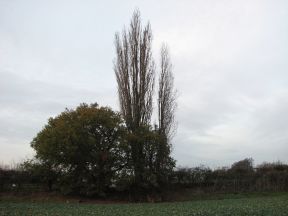 Greenwich Meridian Marker; England; Hertfordshire; Ware (Easnye Estate)